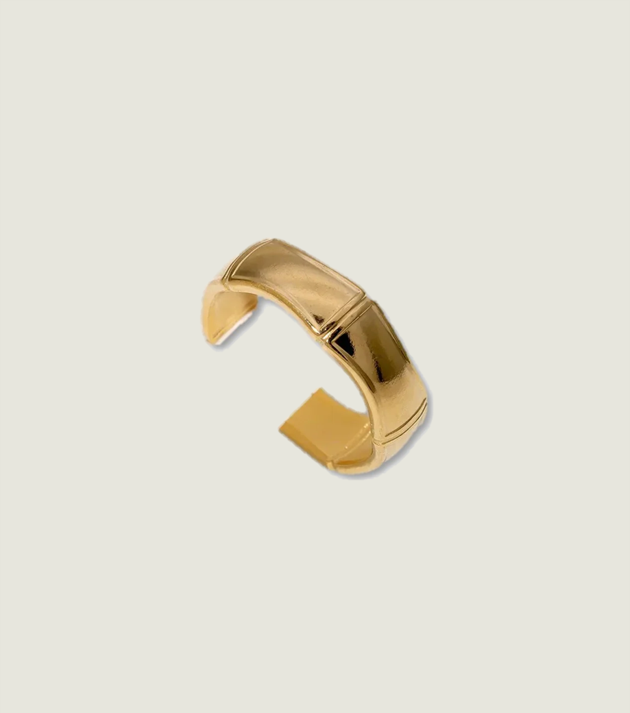 🔔 -30% | 
Aras Ring