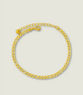 Chain Anklet